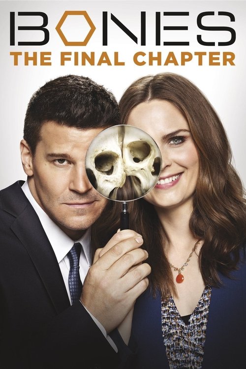 Poster for Season 12 - The Final Chapter