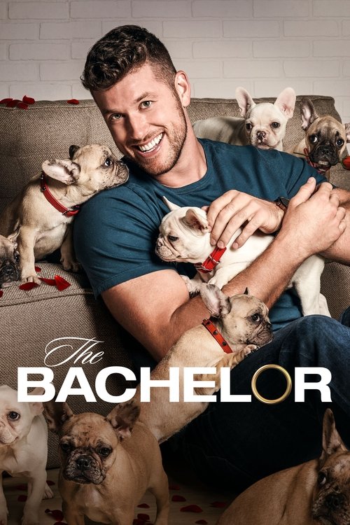 Poster for Season 26