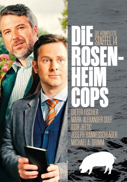 Poster for Season 14