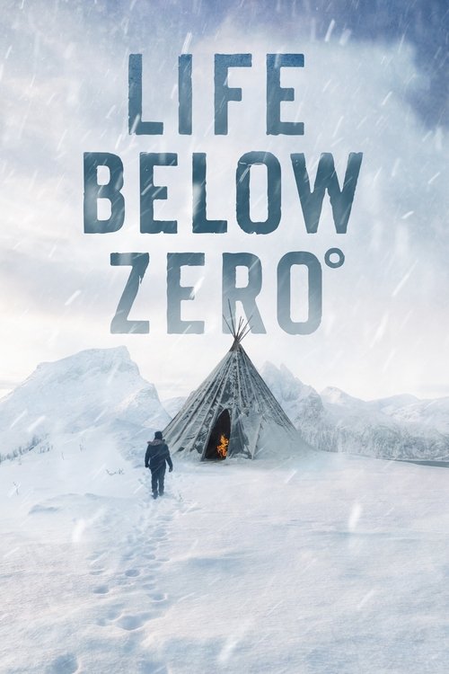 Poster for Season 20