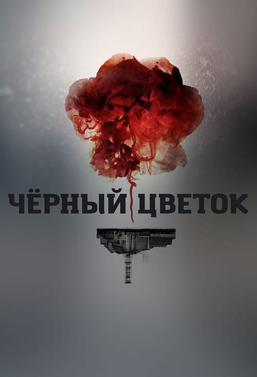 Poster for Chernobyl: Aftermath