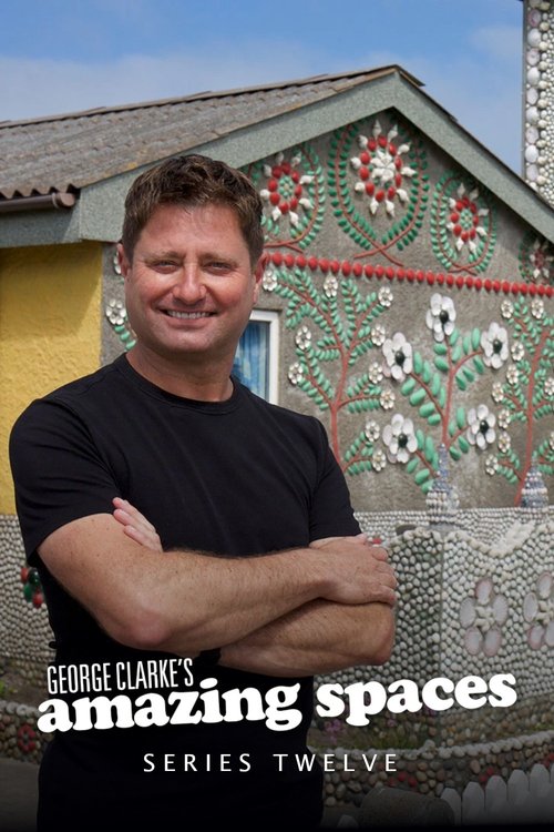 Poster for Series 12