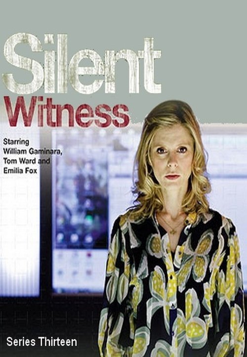 Poster for Series 13