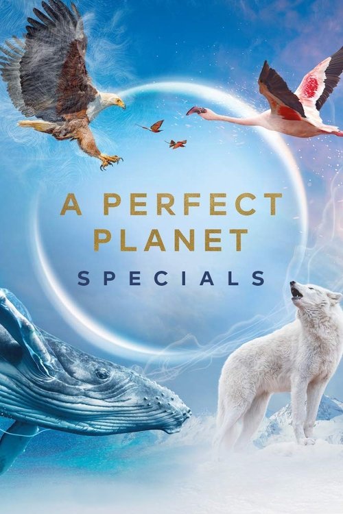 Poster for Specials