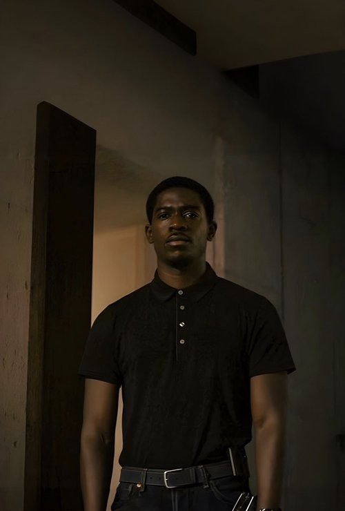 Poster for Snowfall