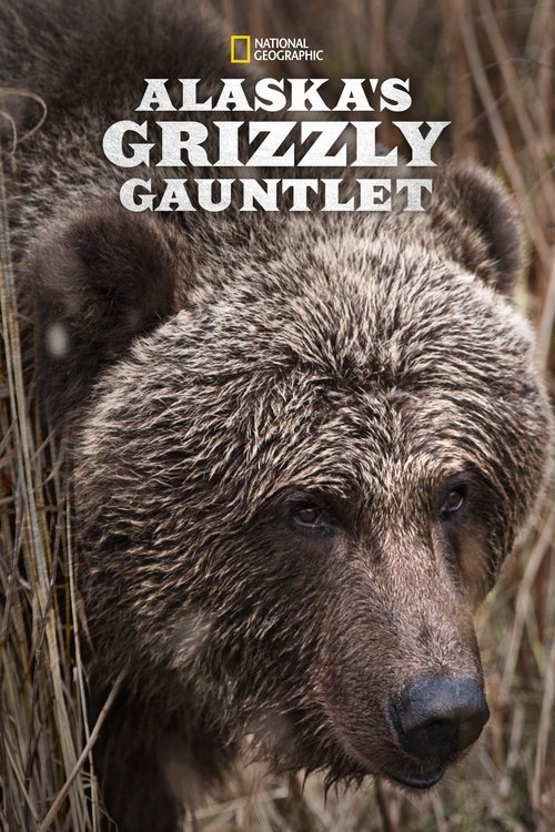 Poster for Alaska's Grizzly Gauntlet