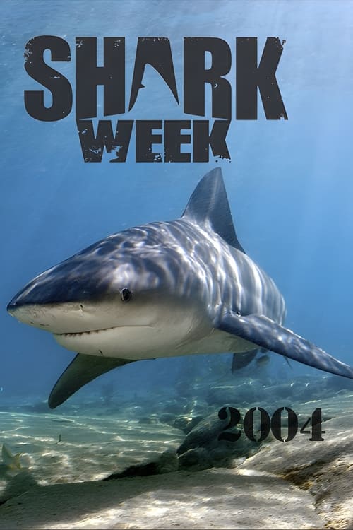 Poster for 2004