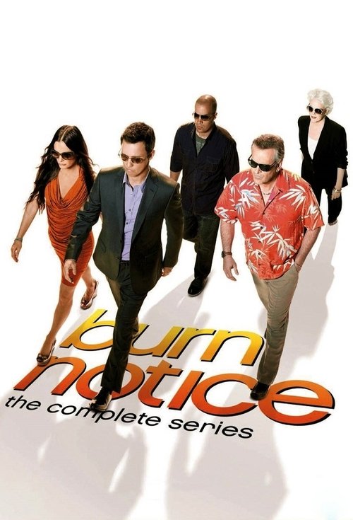 Poster for Burn Notice