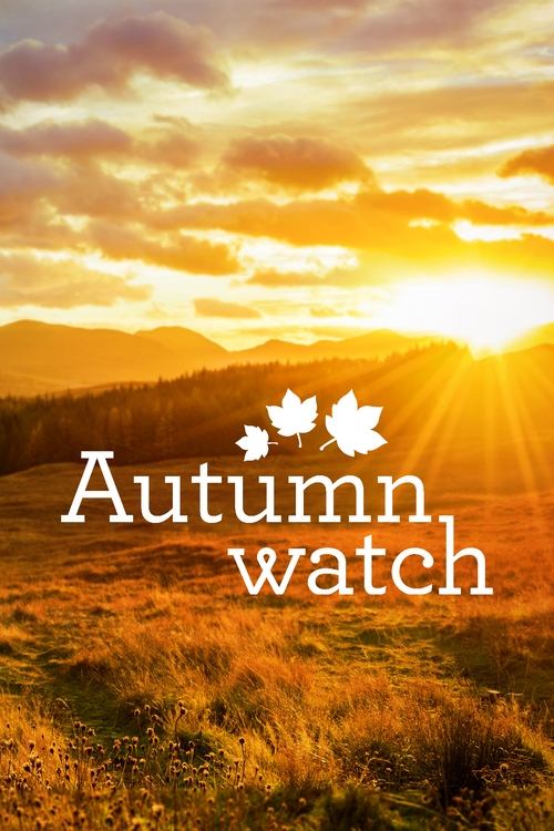 Poster for Autumnwatch