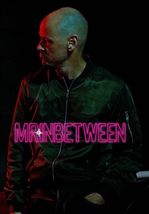 Poster for Mr Inbetween