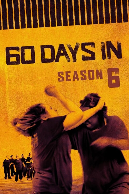 Poster for Season 6