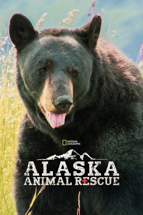 Poster for Season 2