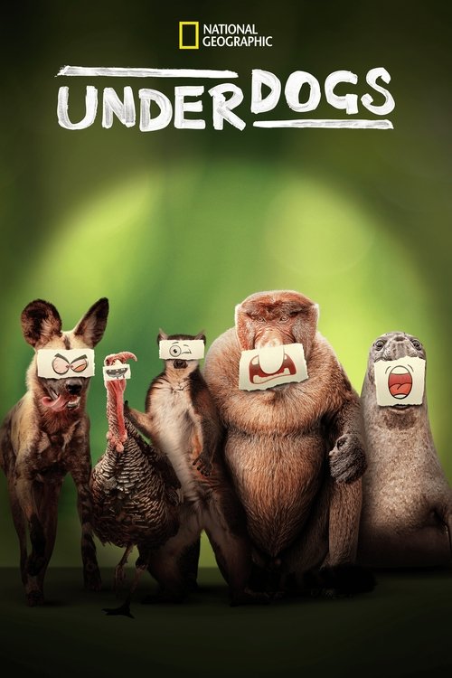 Poster for Season 1