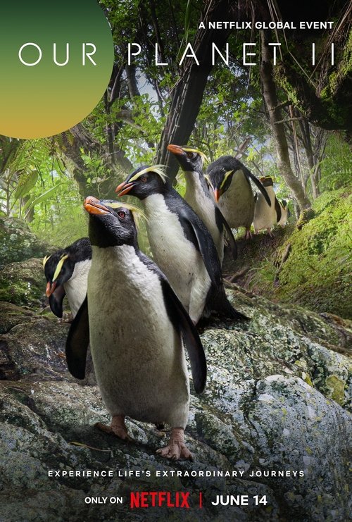 Poster for Our Planet II
