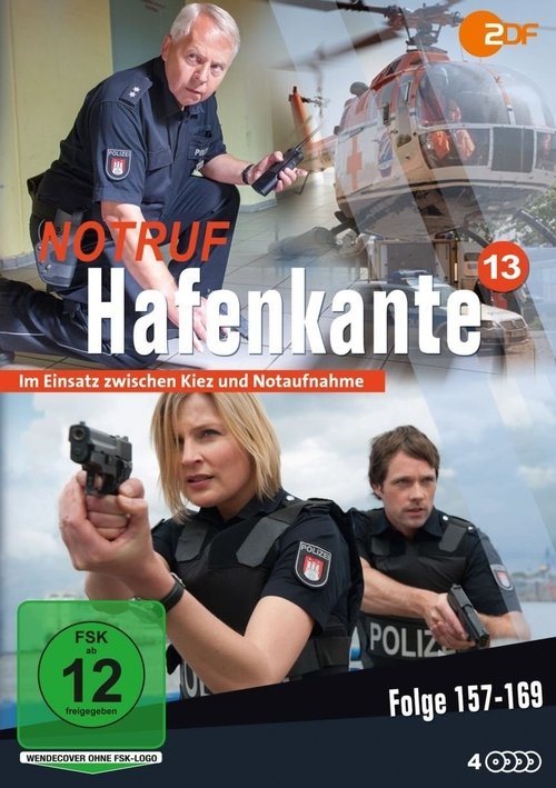 Poster for Season 13