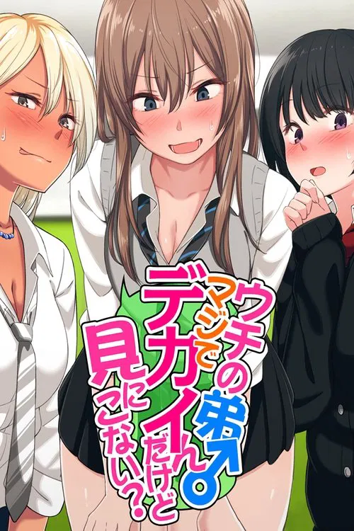 Poster for Uchi no Otouto Maji de Dekain Dakedo Mi ni Konai?