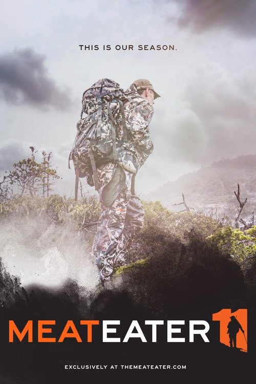 Poster for Season 11