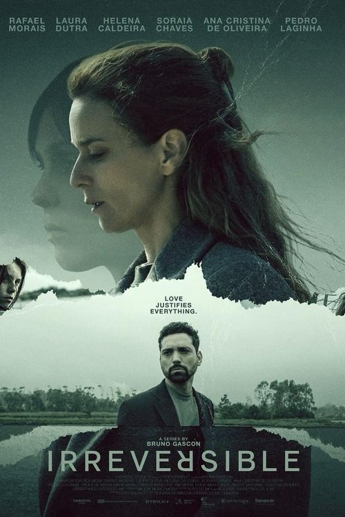 Poster for Irreversible
