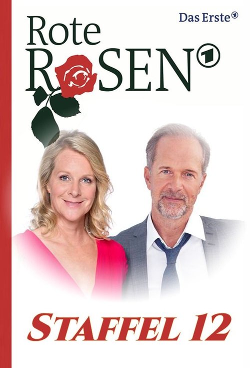 Poster for Season 12