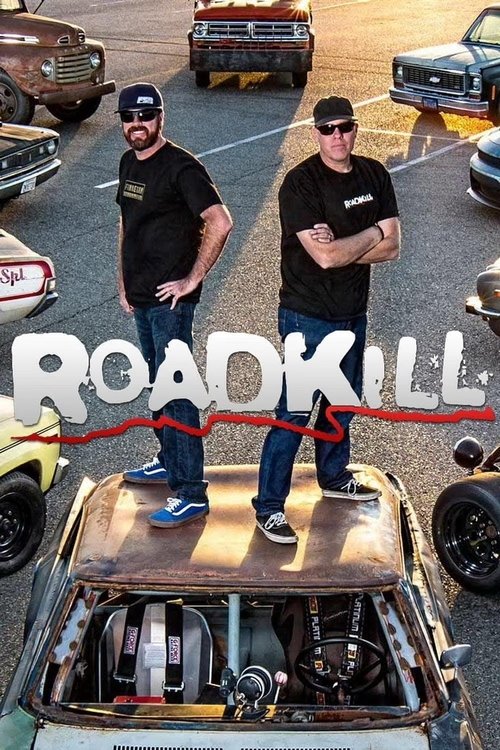 Poster for Season 13