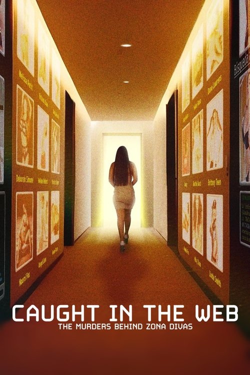 Poster for Limited Series
