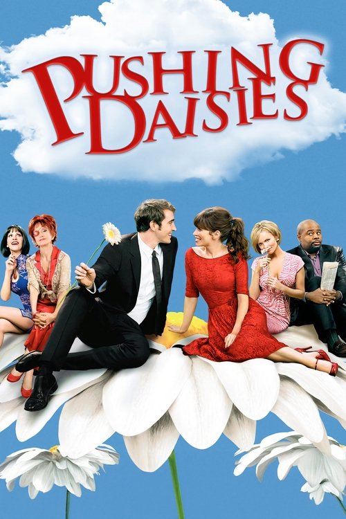 Poster for Pushing Daisies