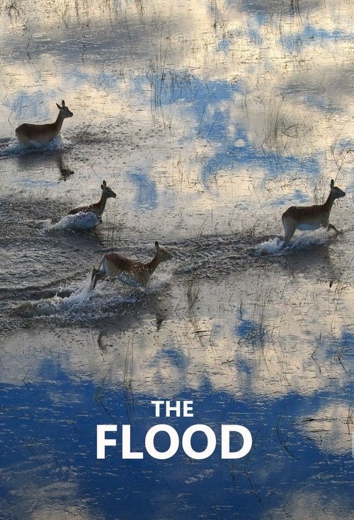 Poster for The Flood