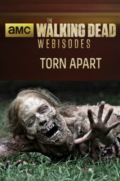 Poster for The Walking Dead: Torn Apart