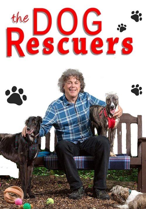 Poster for The Dog Rescuers with Alan Davies