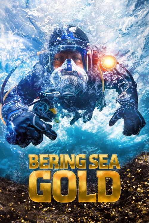 Poster for Season 17