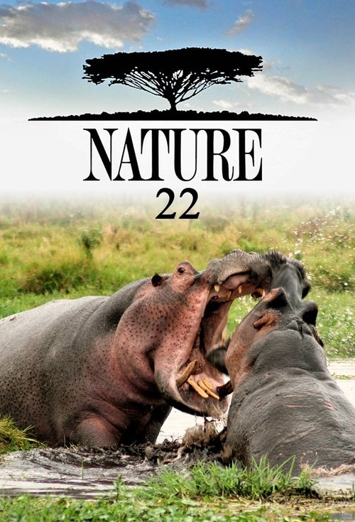 Poster for Season 22