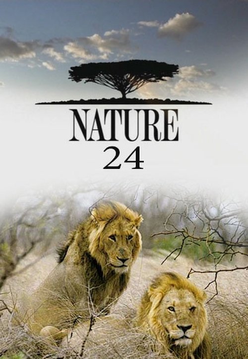 Poster for Season 24