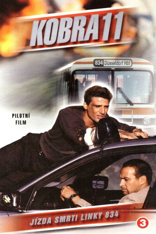 Poster for Season 9