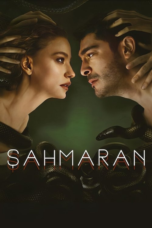 Poster for Season 1