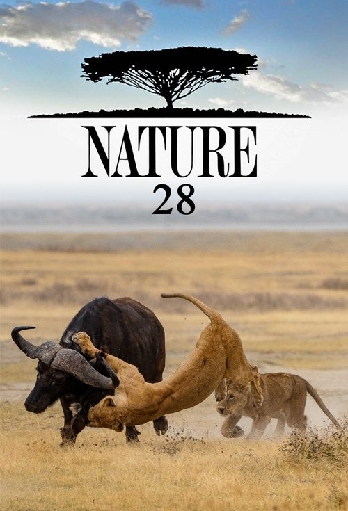 Poster for Season 28