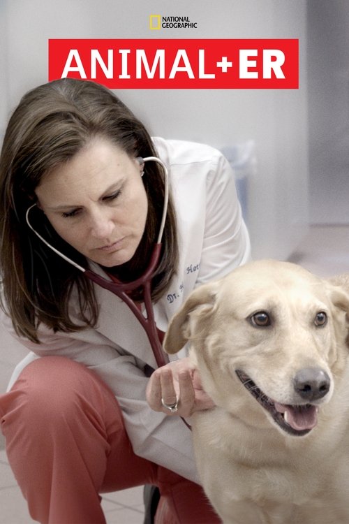 Poster for Animal ER