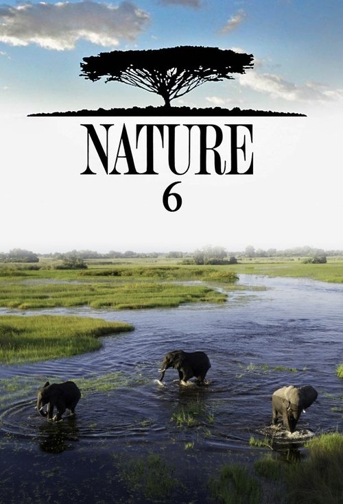 Poster for Season 6