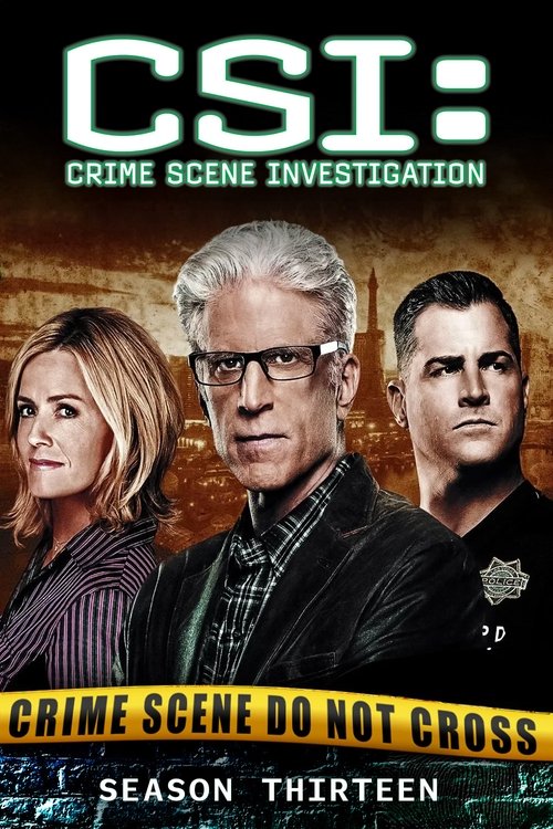 Poster for Season 13