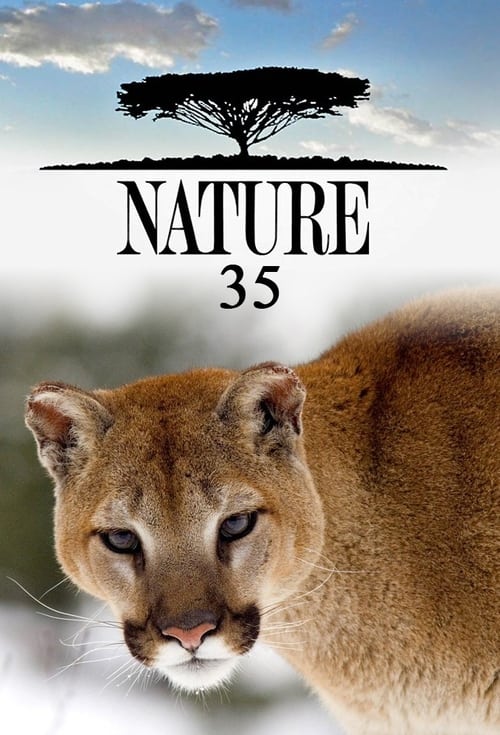 Poster for Season 35