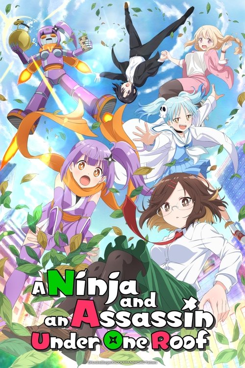 Poster for A Ninja and an Assassin Under One Roof