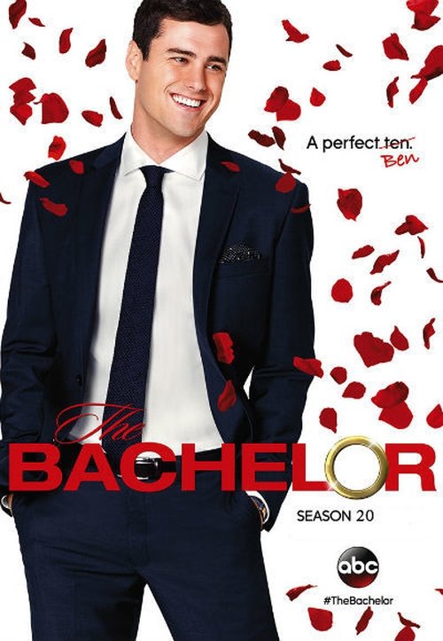 Poster for Season 20