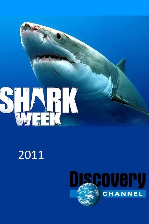 Poster for 2011