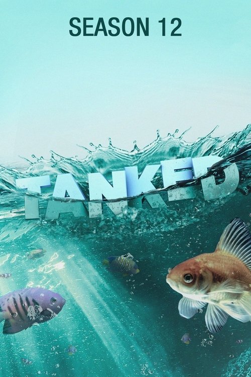 Poster for Season 12