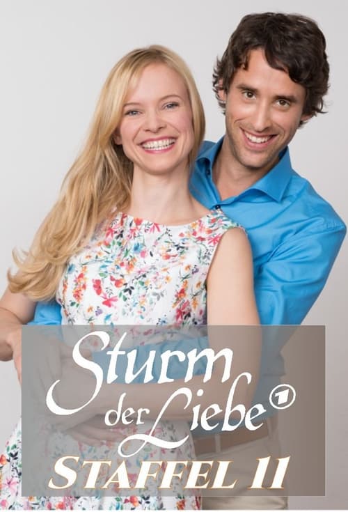 Poster for Season 11