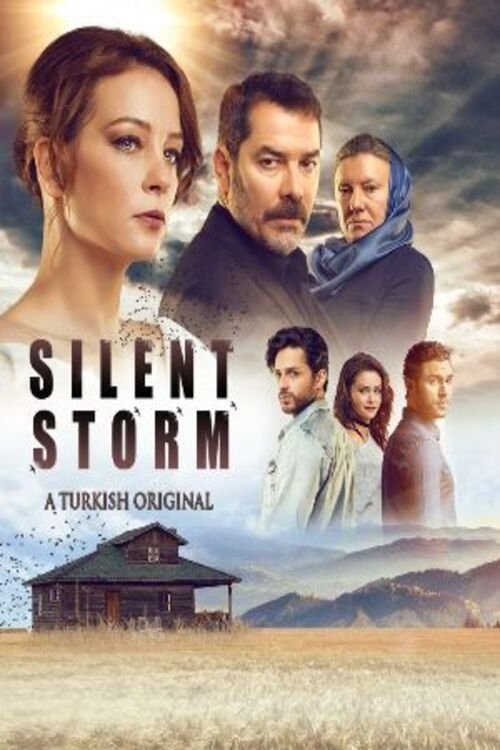 Poster for Swallow Storm