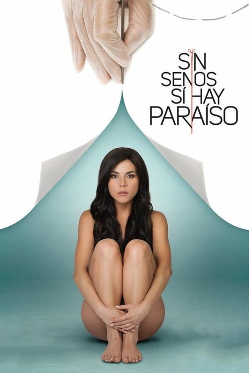 Poster for Season 1