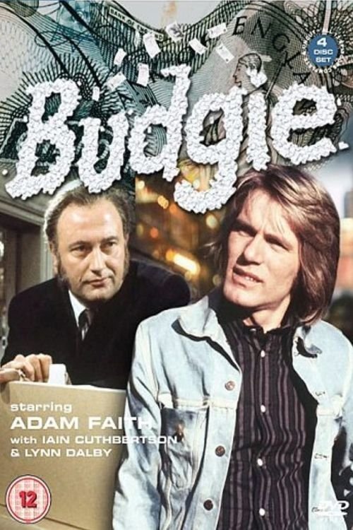 Poster for Budgie