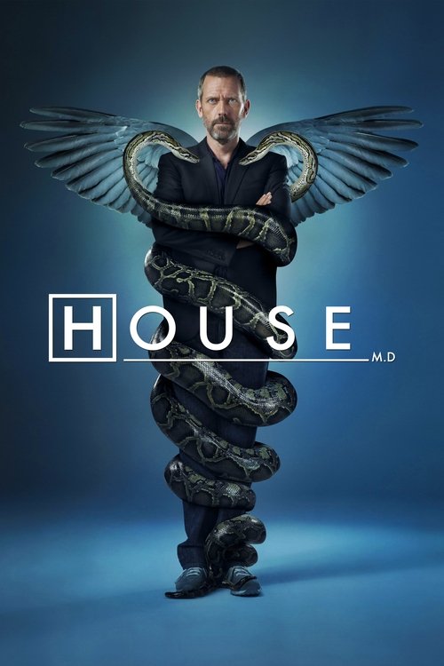 Poster for House