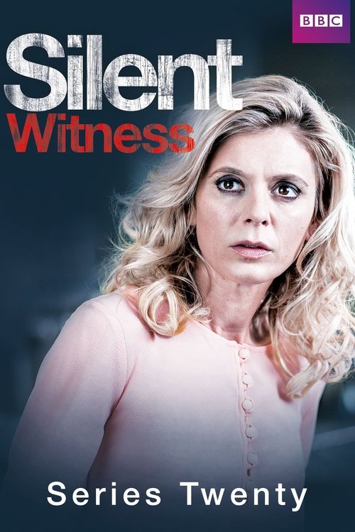 Poster for Series 20