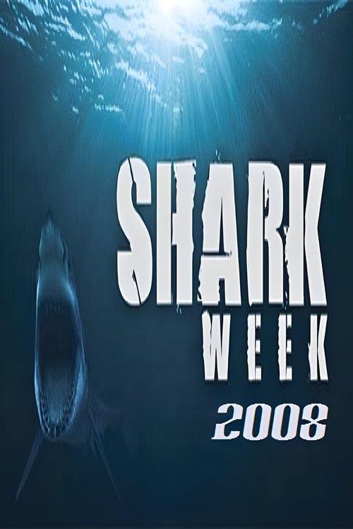 Poster for 2008